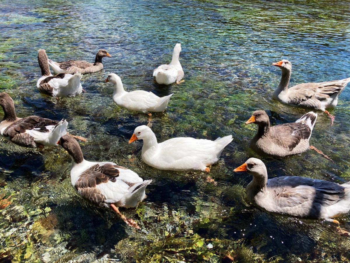 Portofino Boutique Hotel Akyaka  Kültér fotó